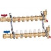 1"  Caleffi 663 Series Distribution Manifold
