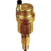 Caleffi Series 5027 Automatic Air Vent NPTM With Check Valve-1/4"